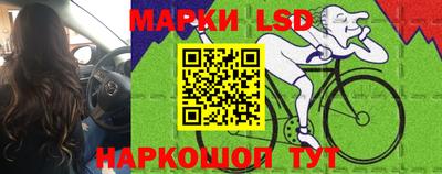 PSILOCYBIN Кинель
