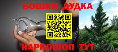 PSILOCYBIN Кинель
