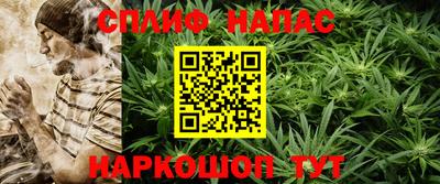 PSILOCYBIN Кинель