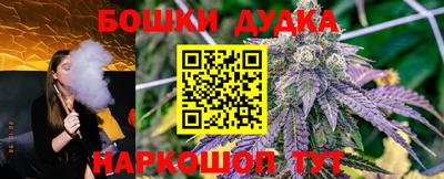 PSILOCYBIN Кинель