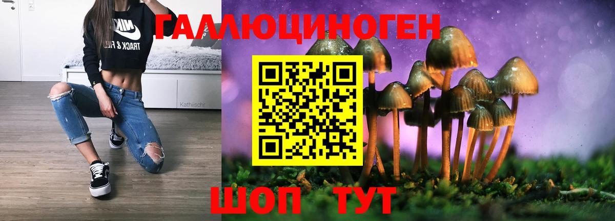 Галлюциногенные грибы ЛСД  Вход с VPN  где можно купить наркотик  Камышлов 